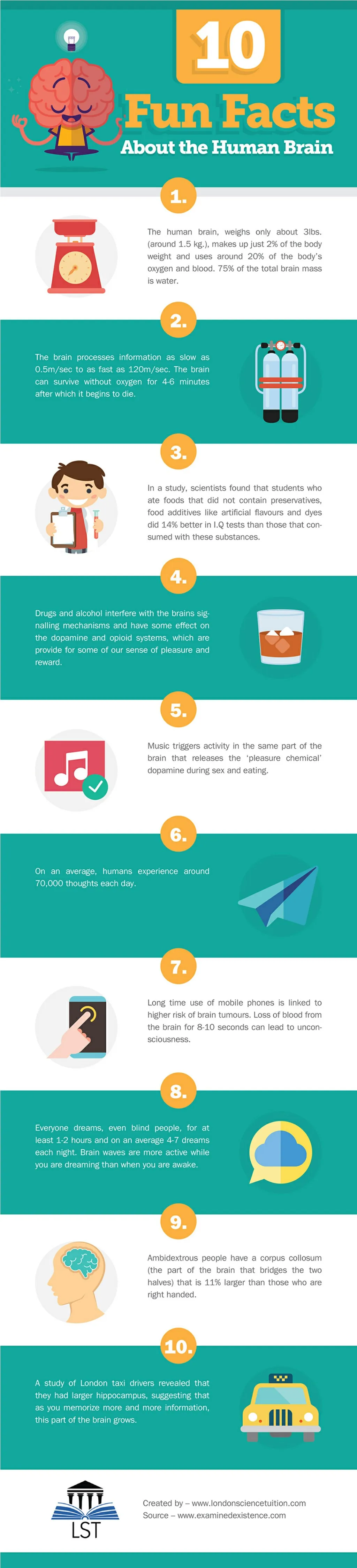 PPT 10 Fun Facts About The Human Brain PowerPoint Presentation Free