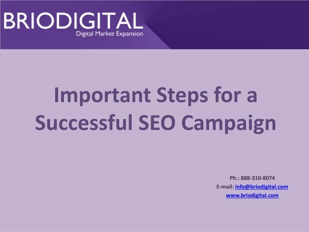 important steps for a successful seo campaign n.