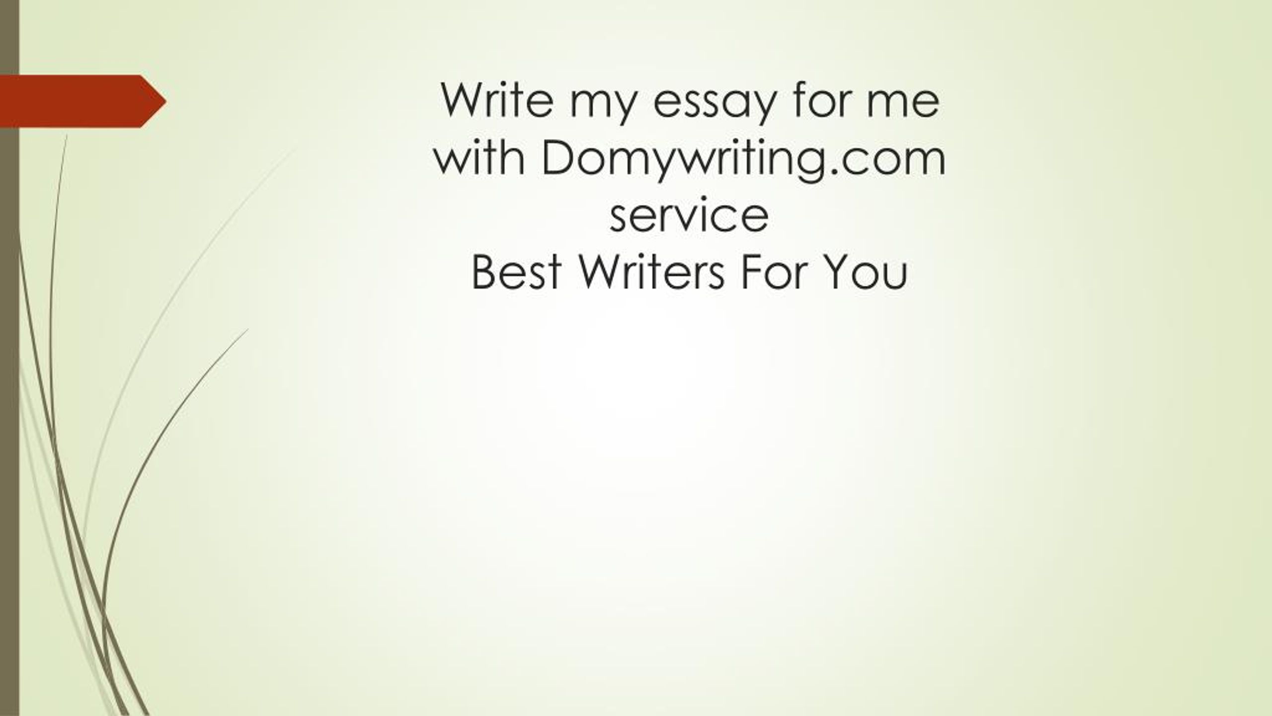 essay write me