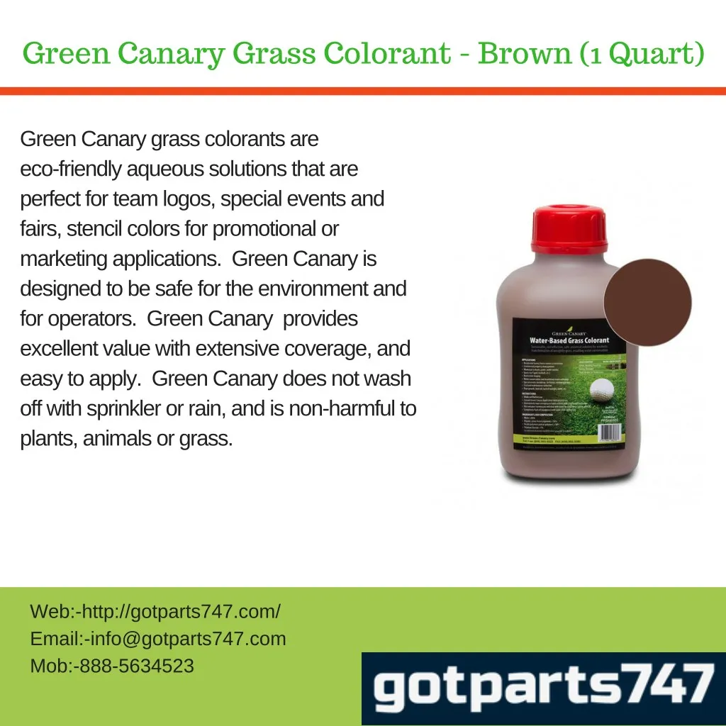 green canary grass colorant brown 1 quart n.