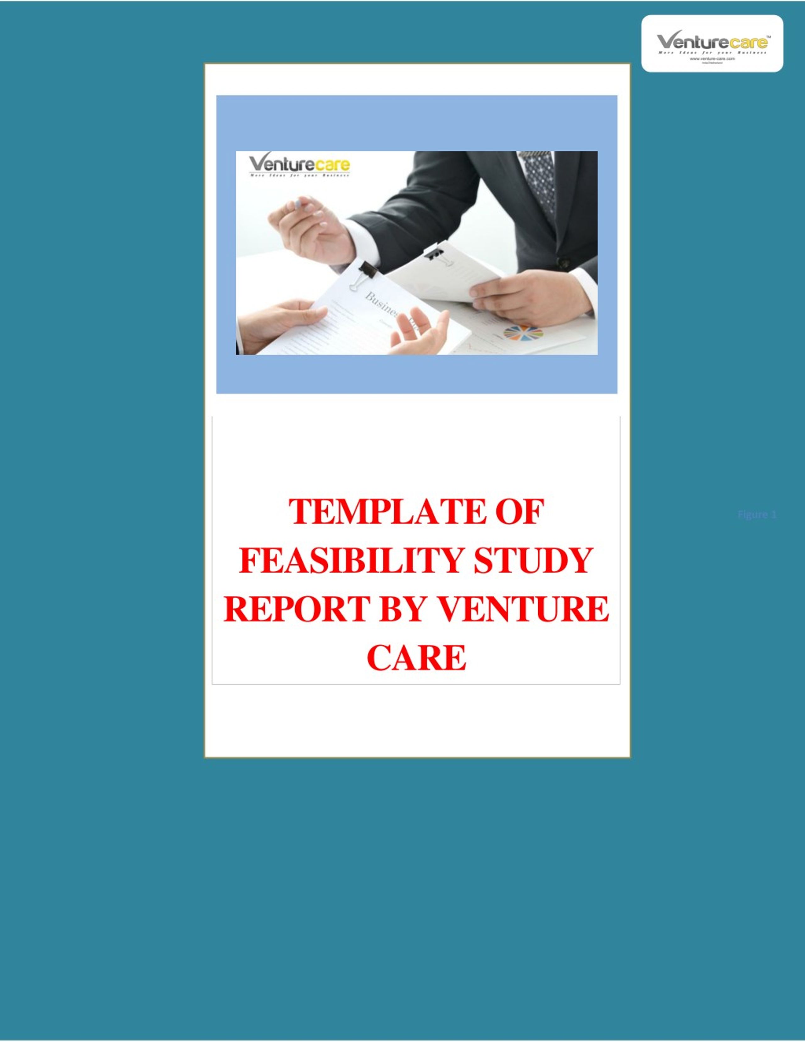 PPT - Template of Feasibility study report by Venture CareHow to