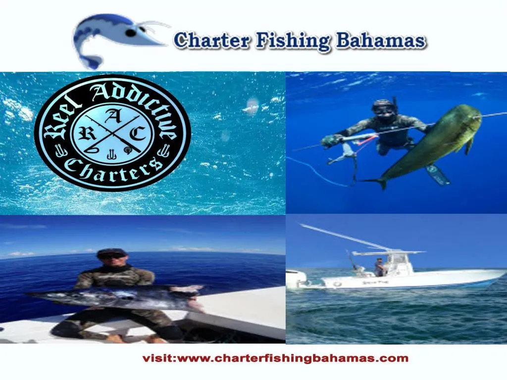 ppt-best-fishing-charters-in-bahamas-charterfishingbahamas