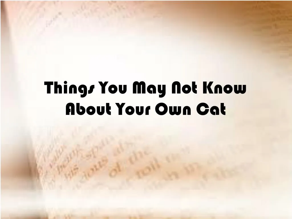 things you may not know about your own cat n.