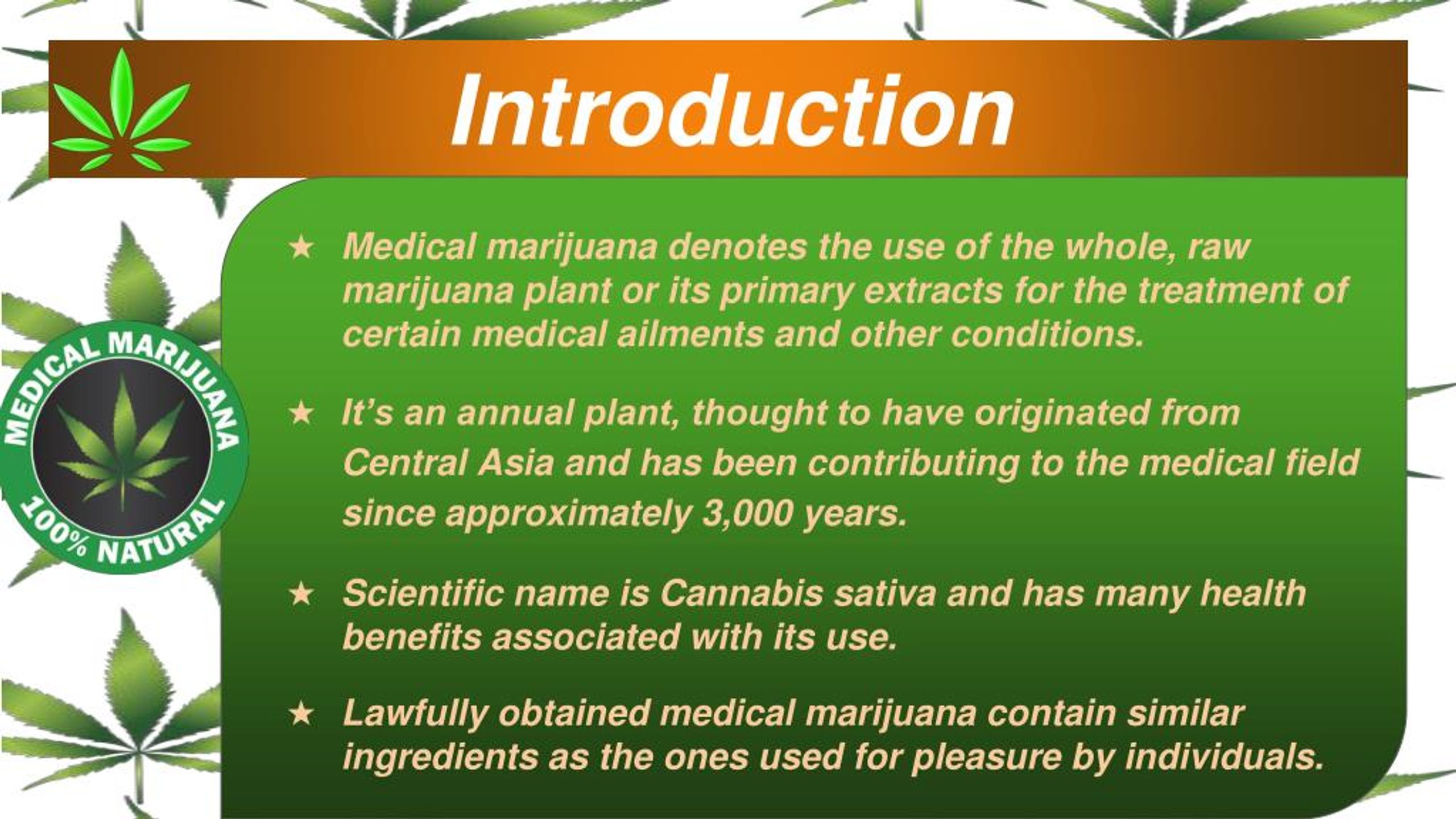medical marijuana essay introduction