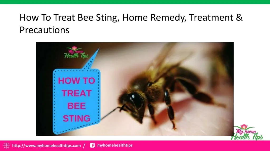 bee sting remedy home