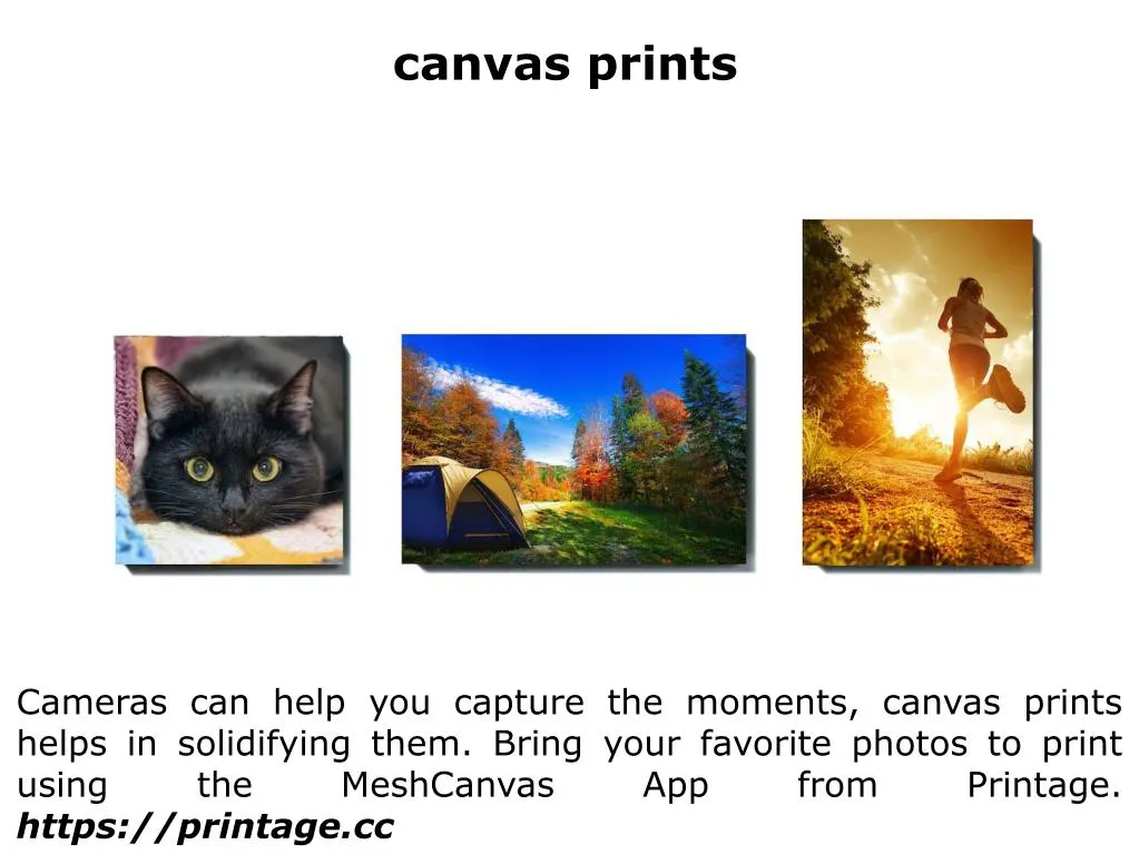 canvas prints n.