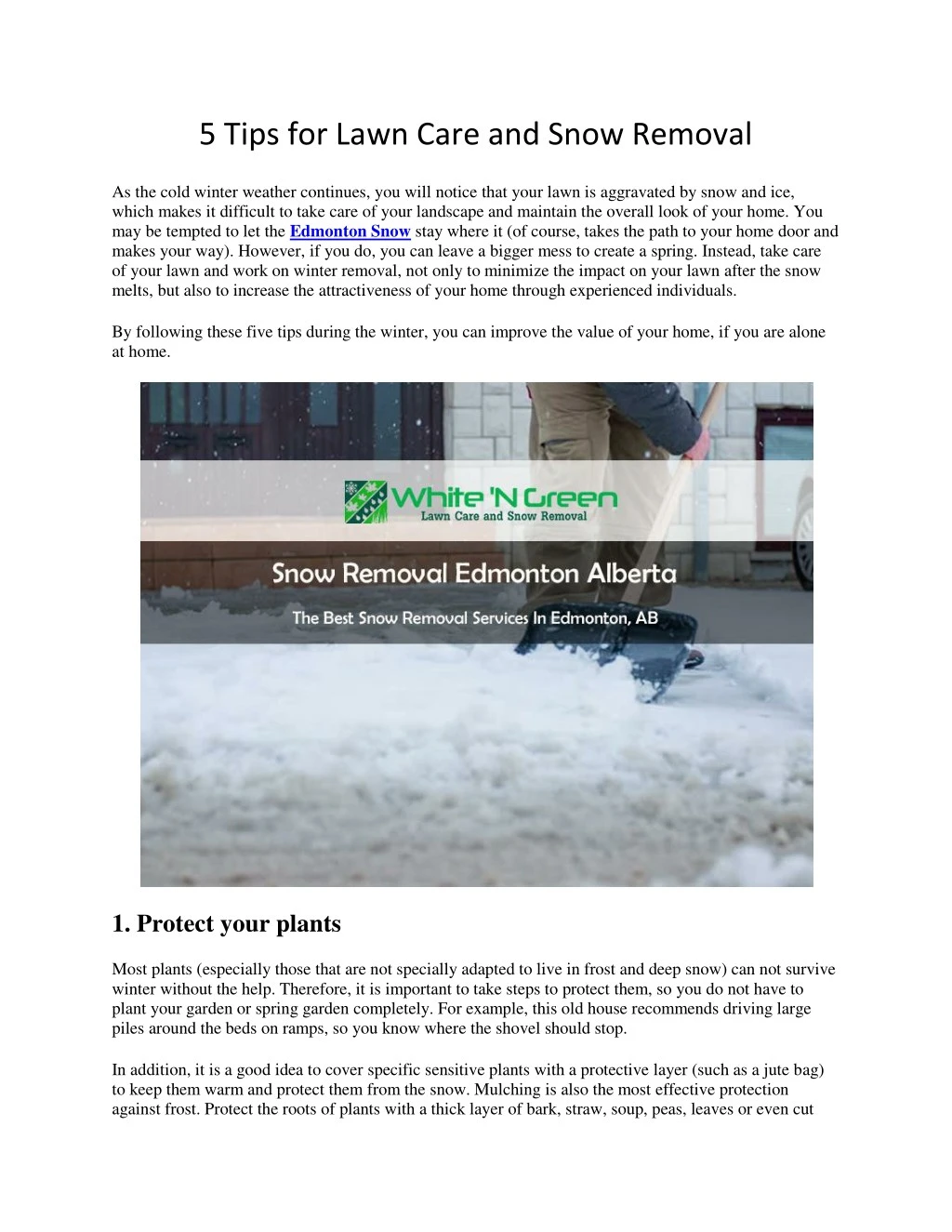 PPT - 5 Tips for Lawn Care and Snow Removal PowerPoint Presentation ...