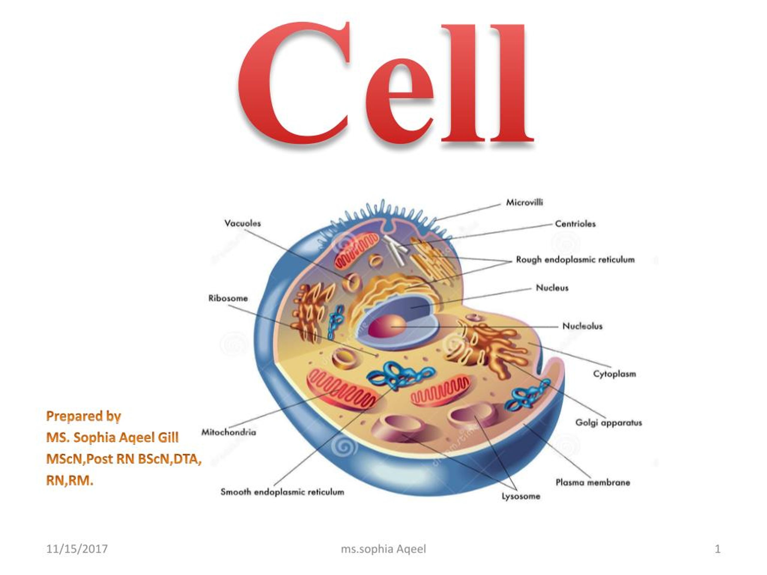 presentation about cell