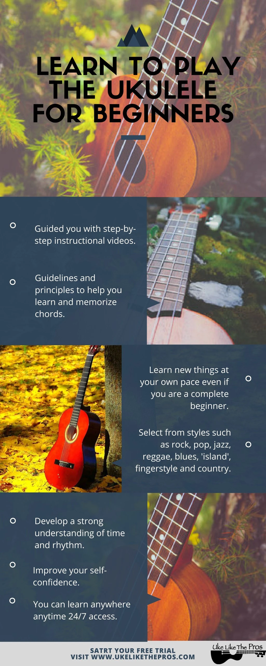 PPT Learn To Play The Ukulele For Beginners PowerPoint