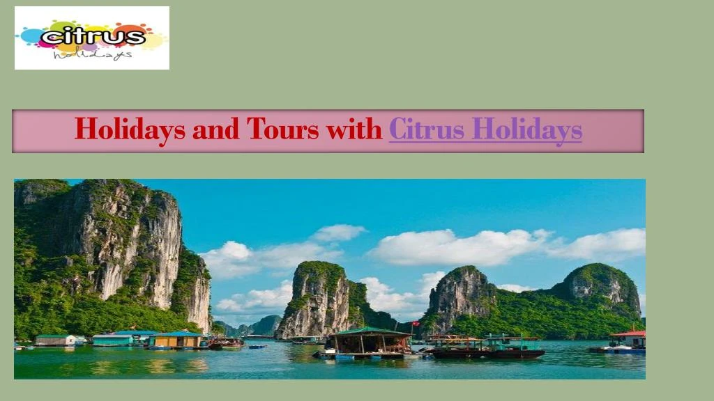 holidays and tours with citrus holidays n.