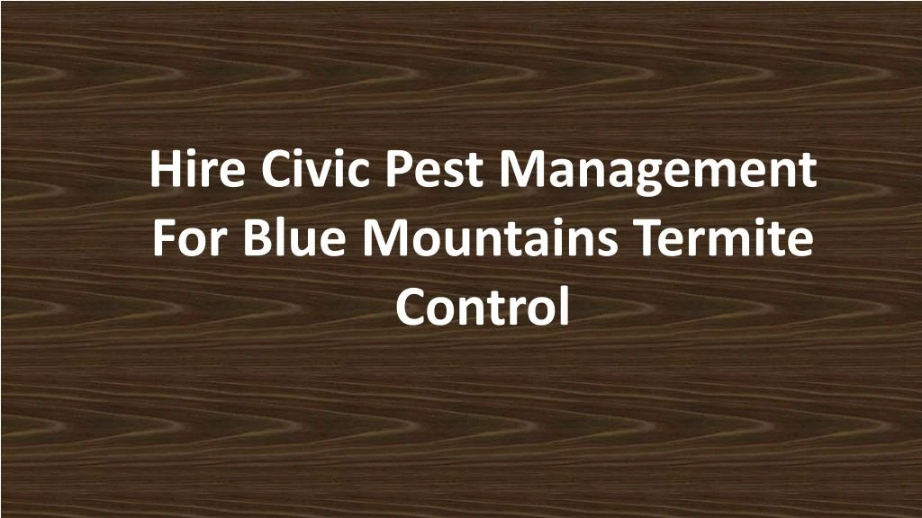 hire civic pest management for blue mountains n.