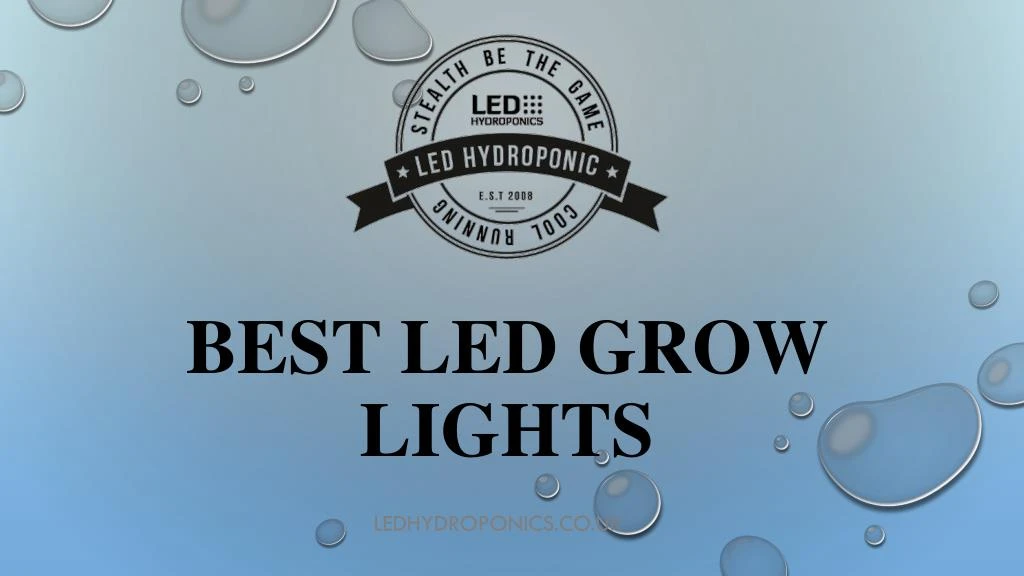 best led grow lights n.