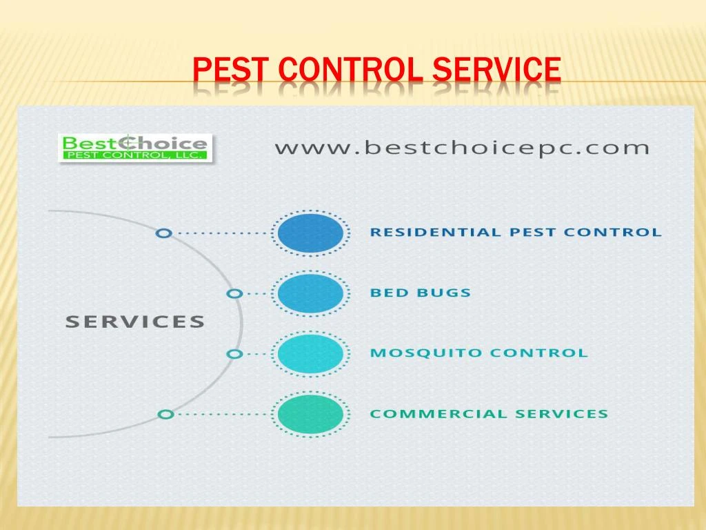 pest control service n.