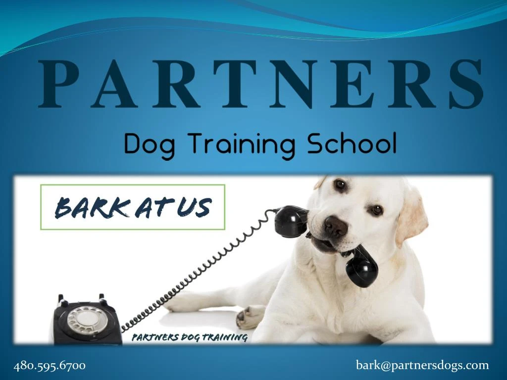 PPT - Group Dog Training School PowerPoint Presentation, Free Download ...