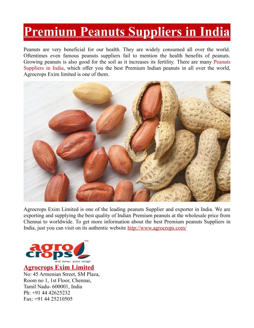 premium peanuts suppliers in india n.