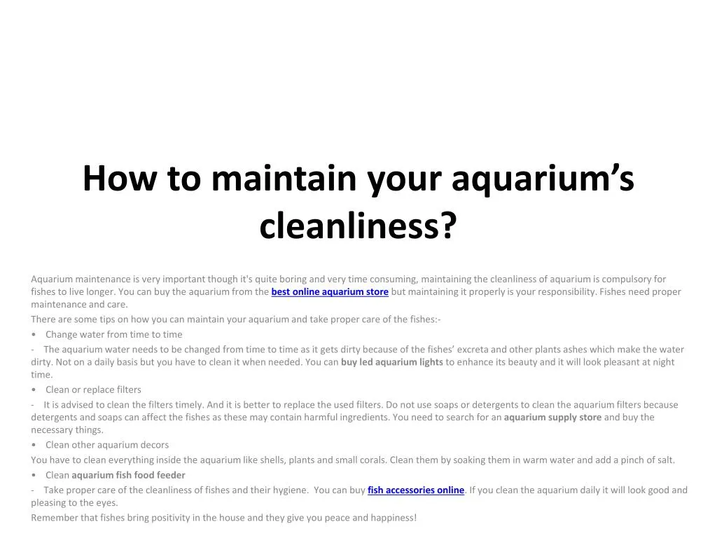 how to maintain your aquarium s cleanliness n.