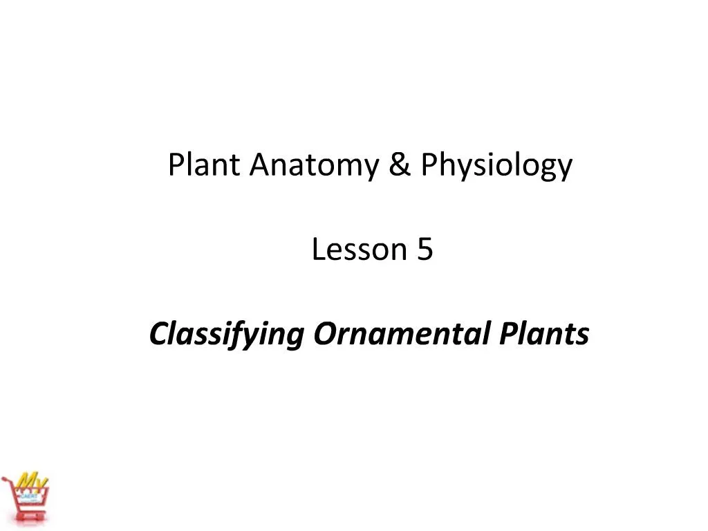 PPT Plant Anatomy Physiology Lesson 5 Classifying Ornamental Plants