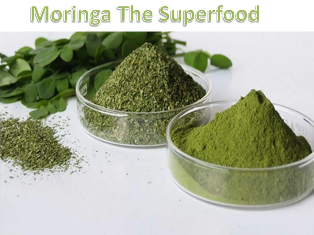 PPT - Moringa Superfood Supplement PowerPoint Presentation, free ...