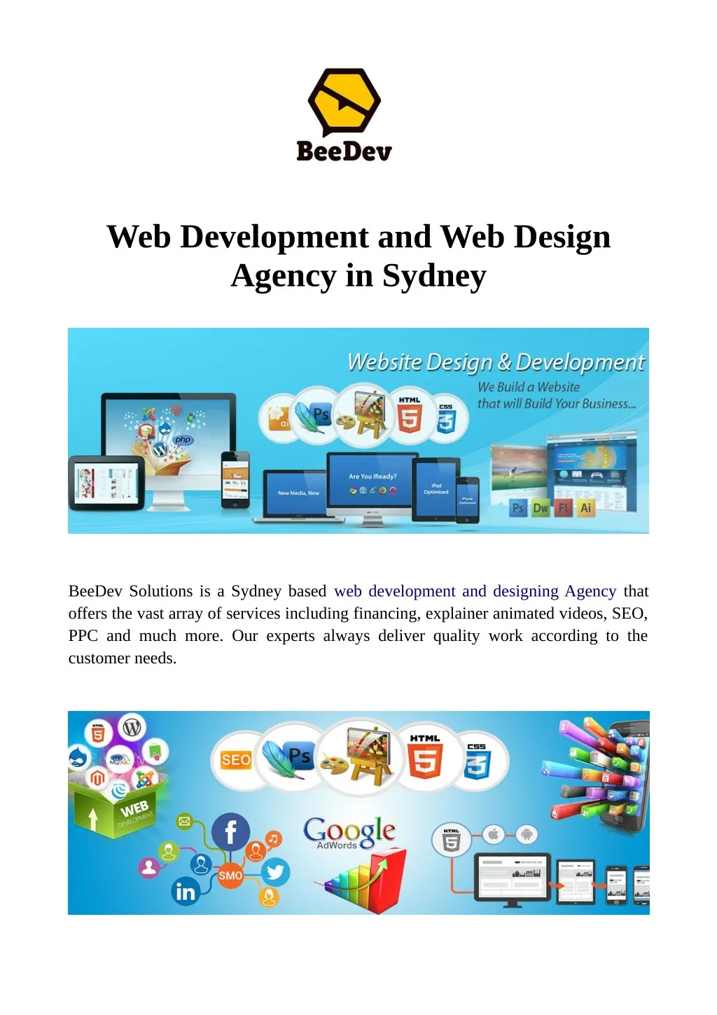 web development and web design agency in sydney n.