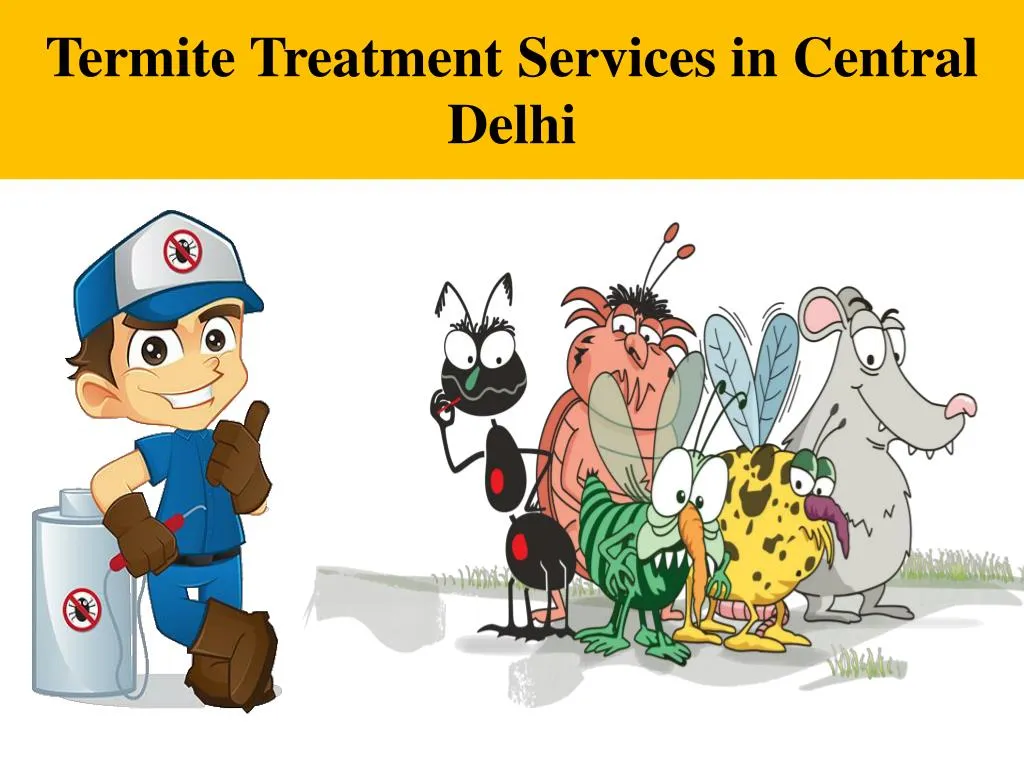 termite treatment services in central delhi n.