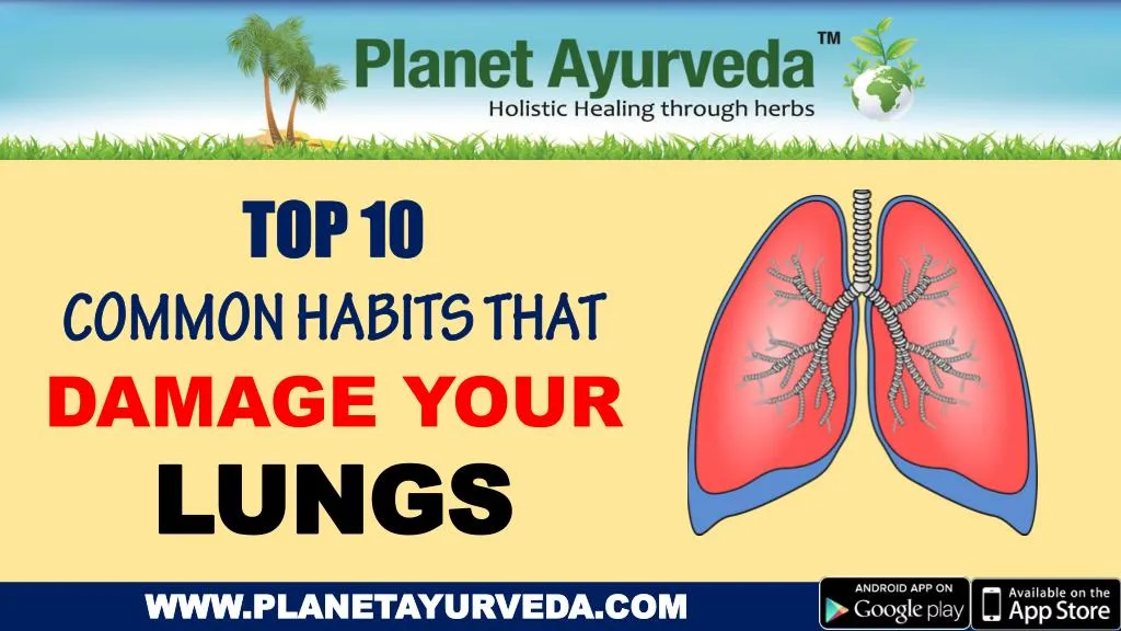 PPT - These Common Habits Can Be Harmful for Your Lungs PowerPoint ...