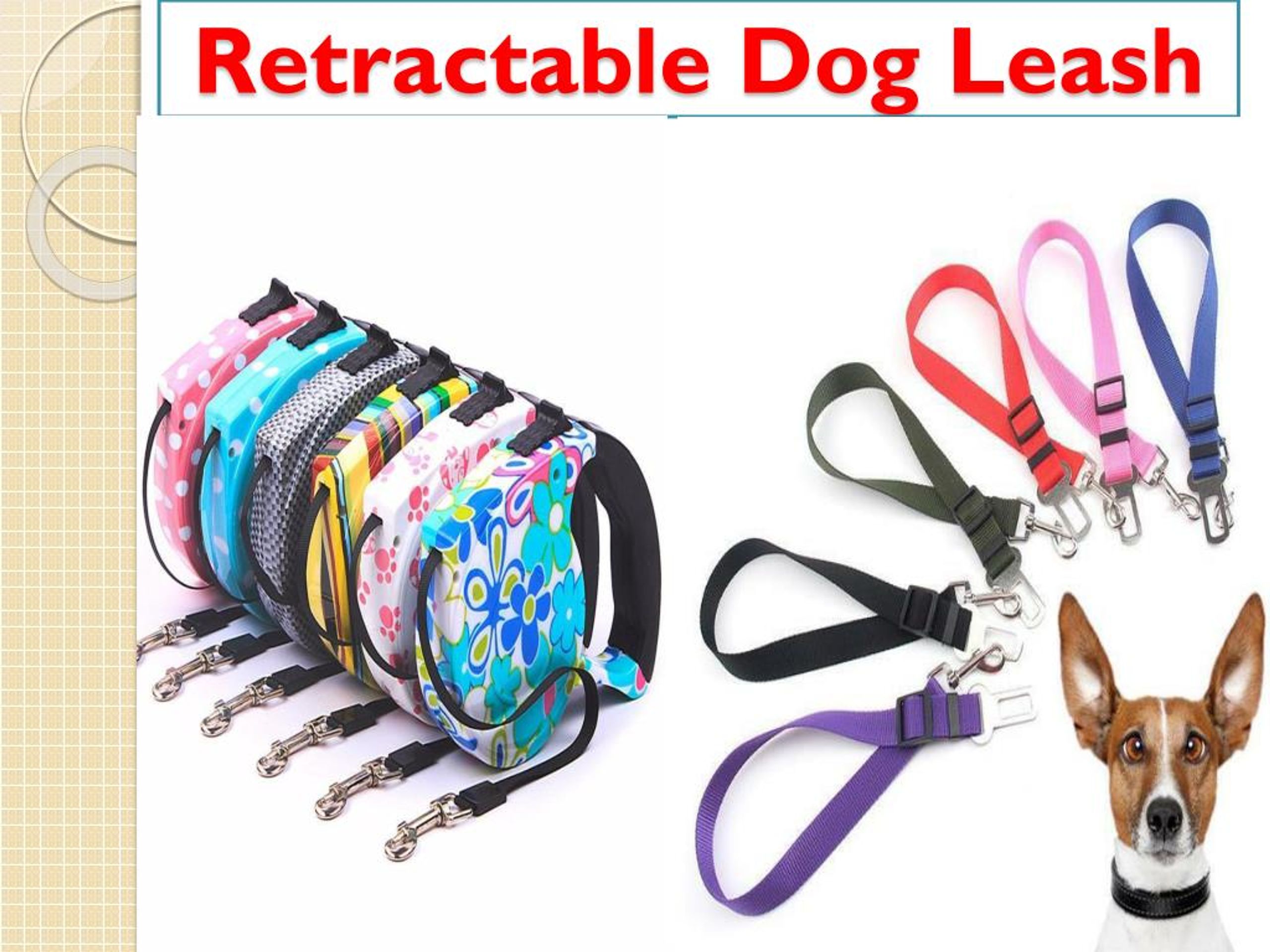 cheap dog leads