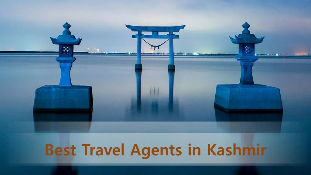 best travel agents in kashmir n.