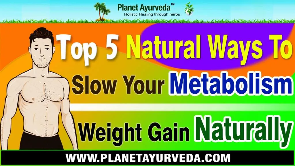 Ppt Top 5 Natural Ways To Slow Your Metabolism Weight Gain Naturally Powerpoint Presentation Id 7774245