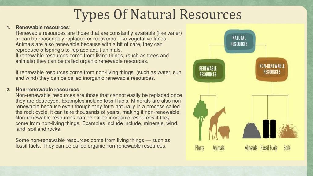 3-types-of-natural-resources-different-types-of-natural-resources