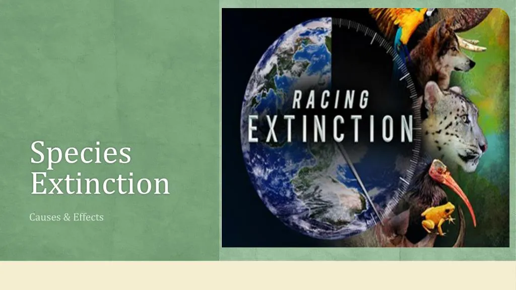PPT - Species Extinction- Reasons and Effects? PowerPoint Presentation ...