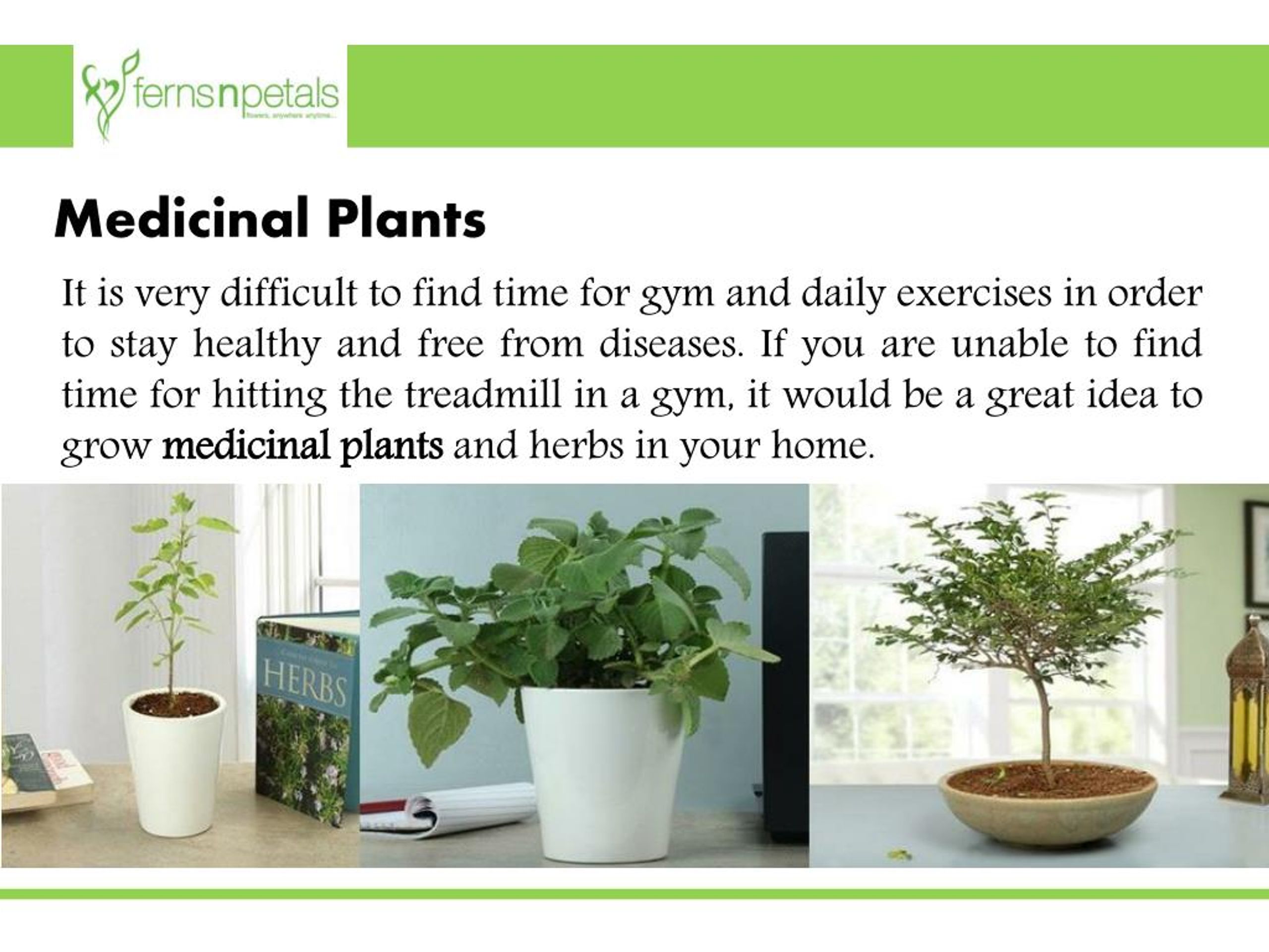 ppt-medicinal-plants-in-india-powerpoint-presentation-free-download