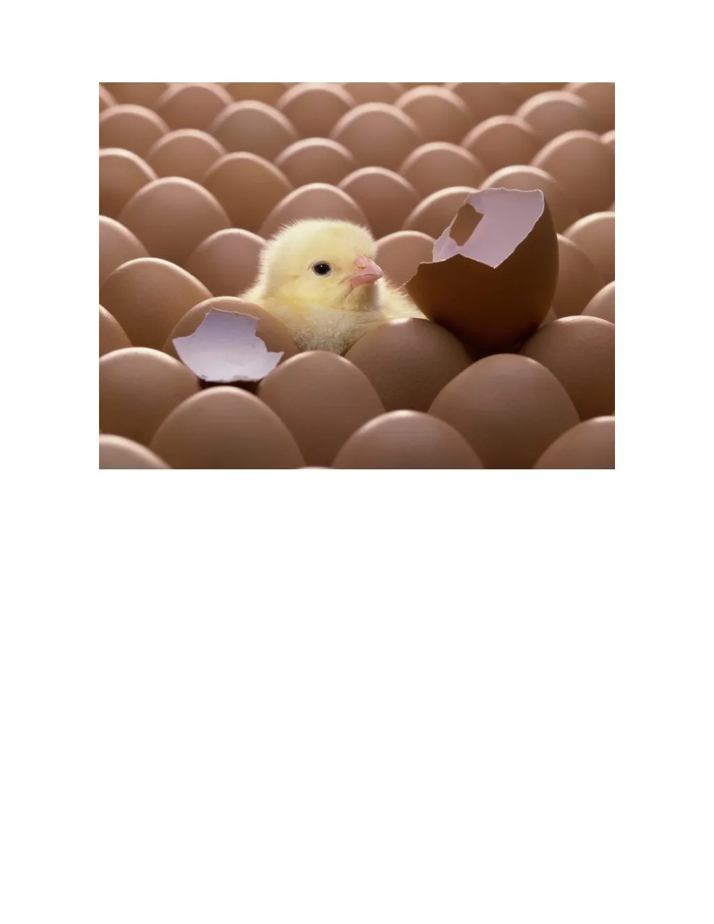 slide1 n.