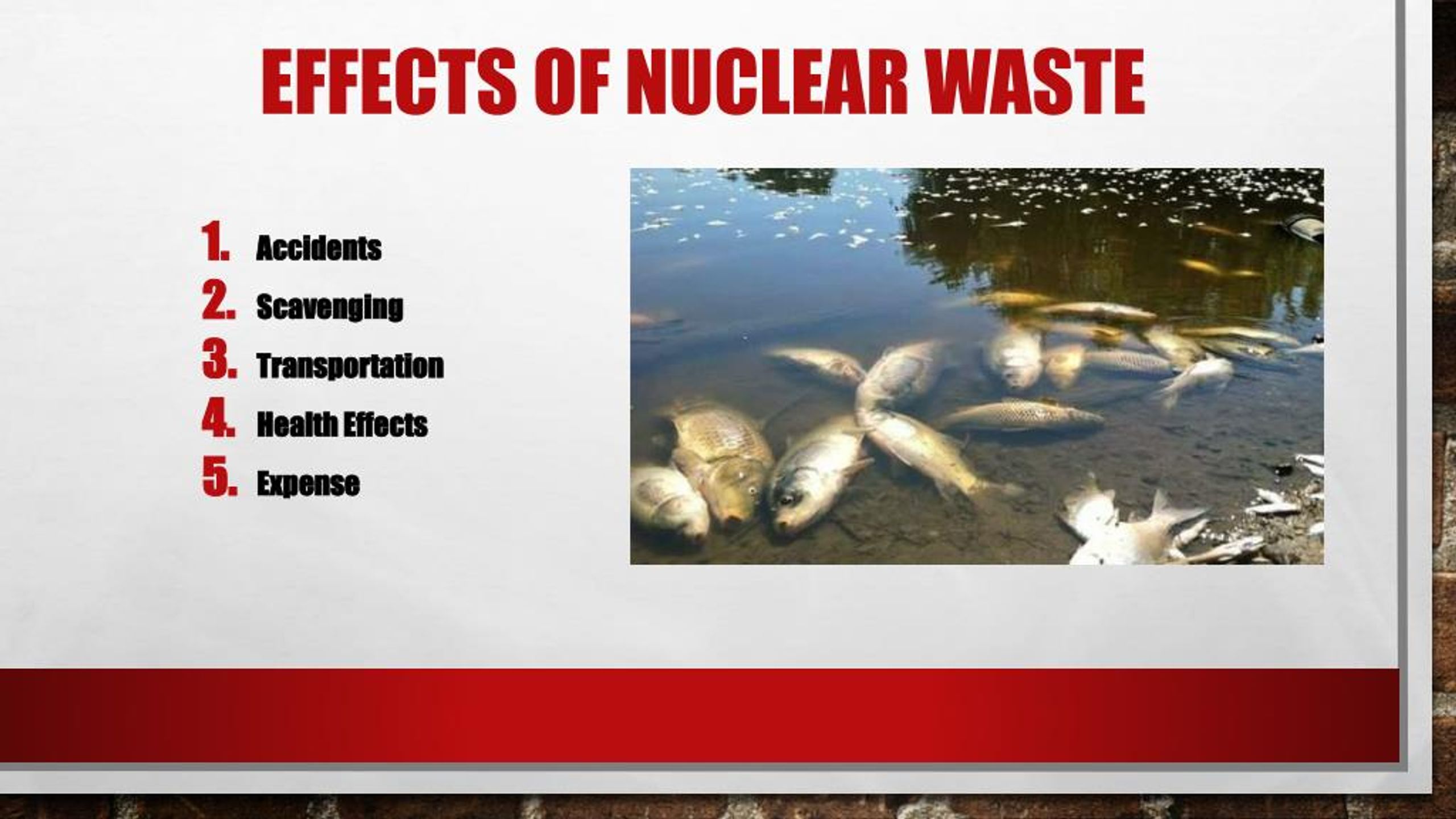 nuclear waste effects