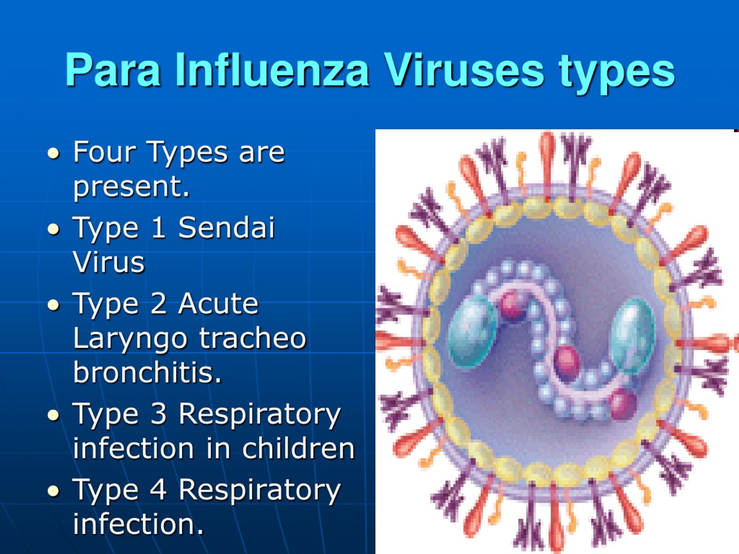 what is parainfluenza virus