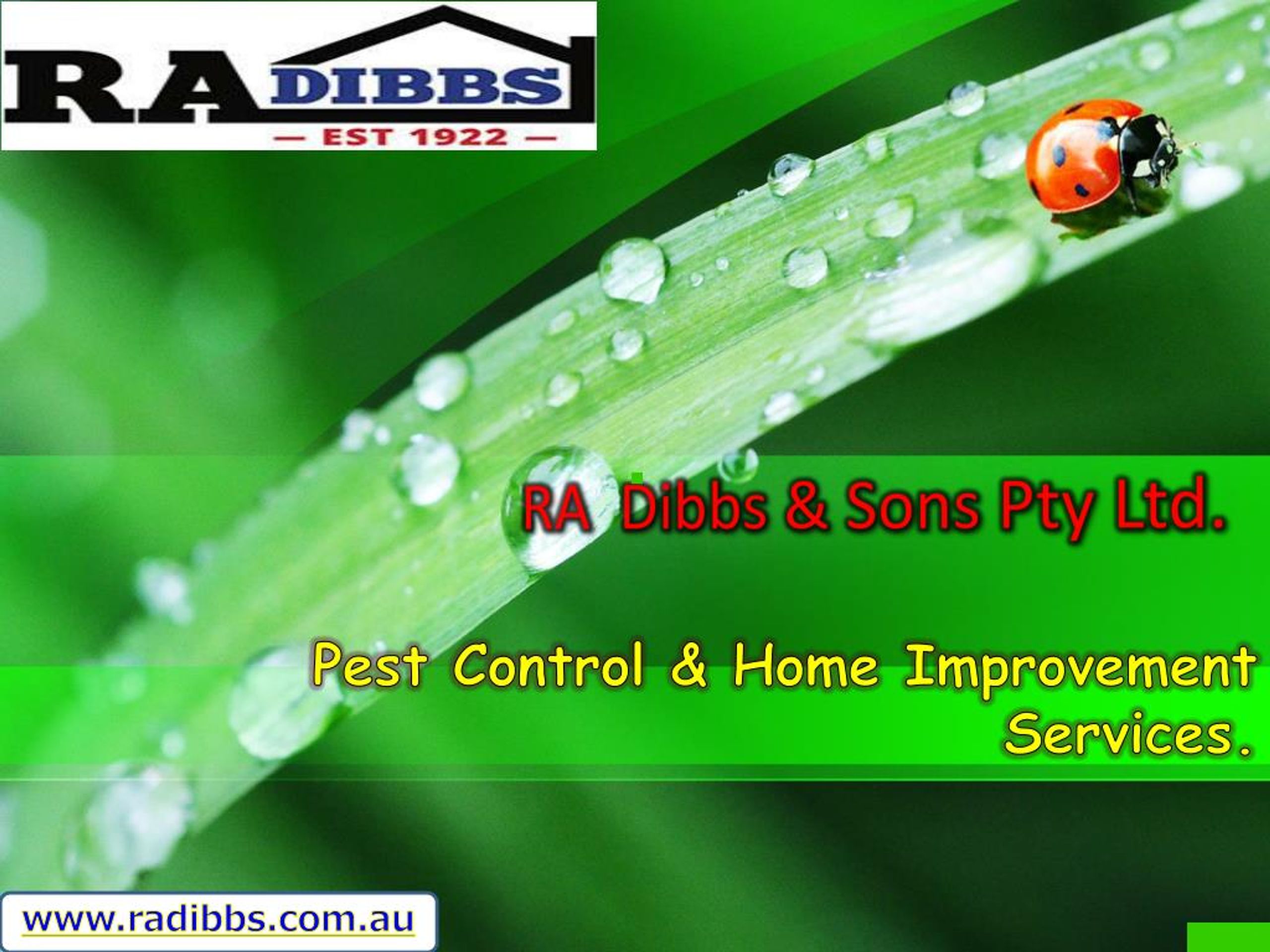PPT - Pest control & Home Improvement Services RA Dibbs PowerPoint  Presentation - ID:7793947