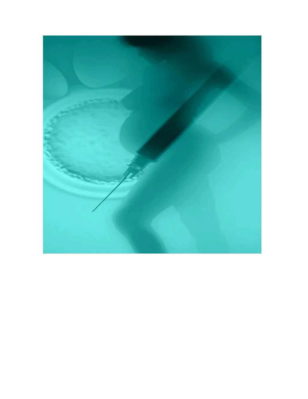 slide1 n.