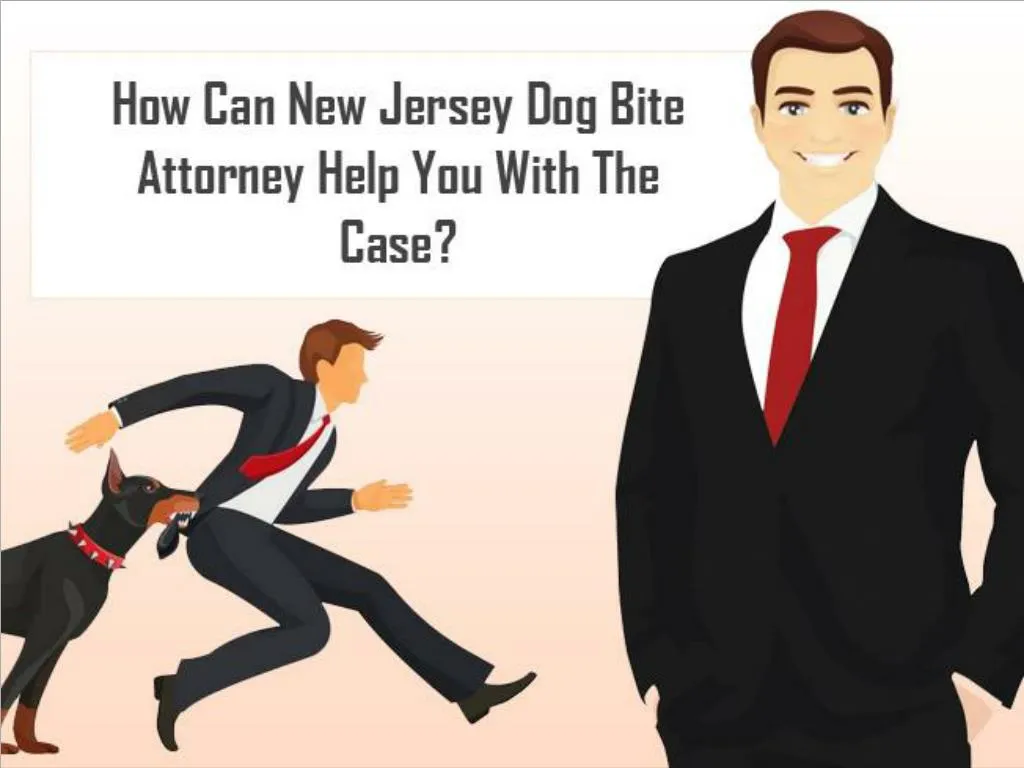 PPT - How Can New Jersey Dog Bite Attorney Help You With The Case? PowerPoint Presentation - ID