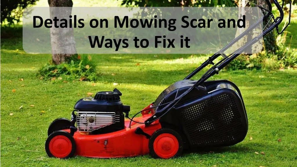 details on mowing scar and ways to fix it n.