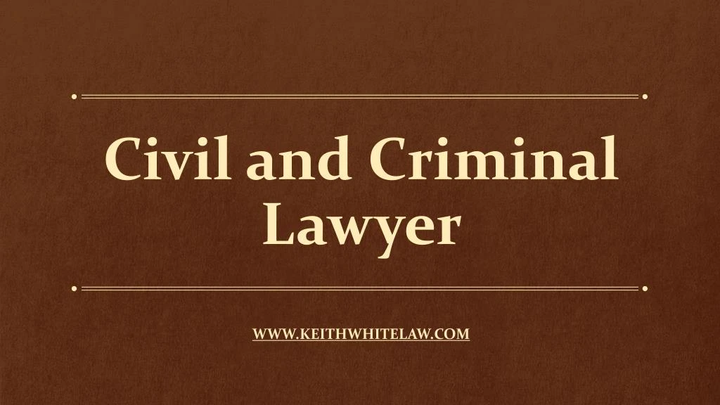 civil and criminal lawyer n.