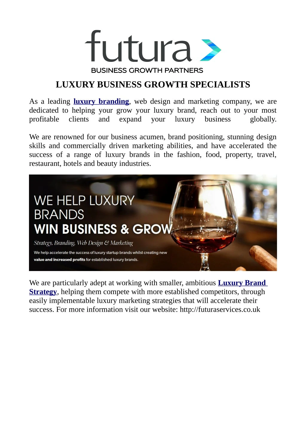luxury business growth specialists n.