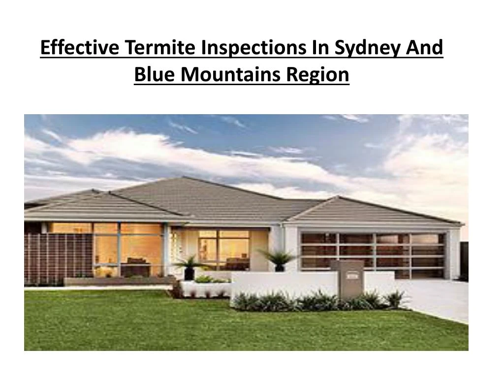 PPT - Effective Termite Inspections In Sydney And Blue Mountains Region ...