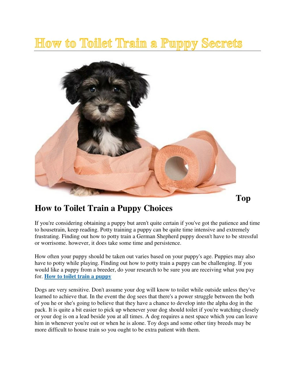 how to train toilet train a puppy
