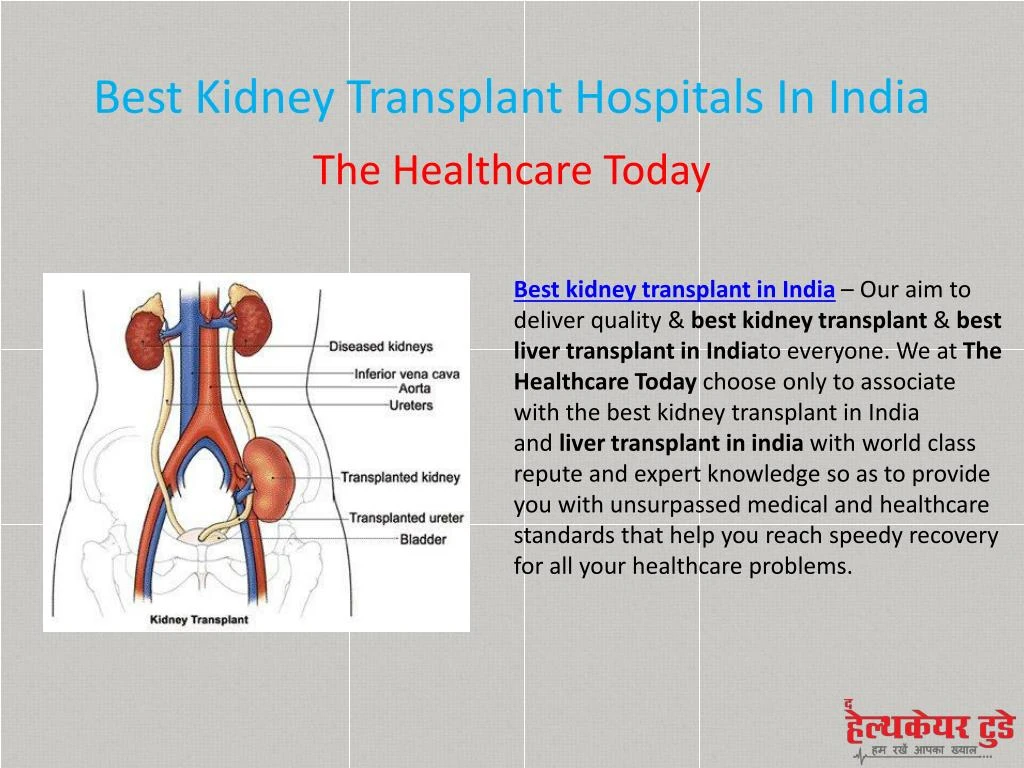 PPT - Best Kidney Transplant Hospitals In India PowerPoint Presentation ...