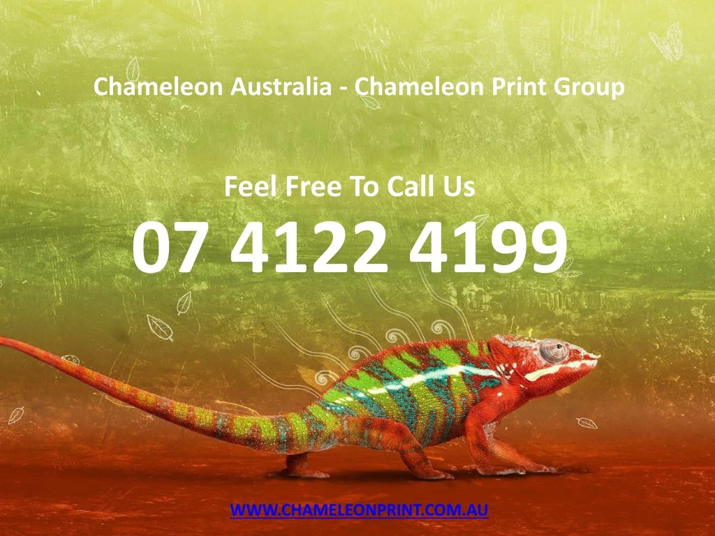 chameleon australia chameleon print group n.
