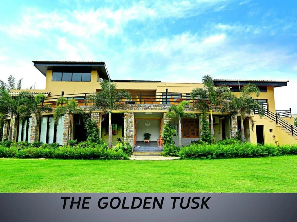 the golden tusk n.