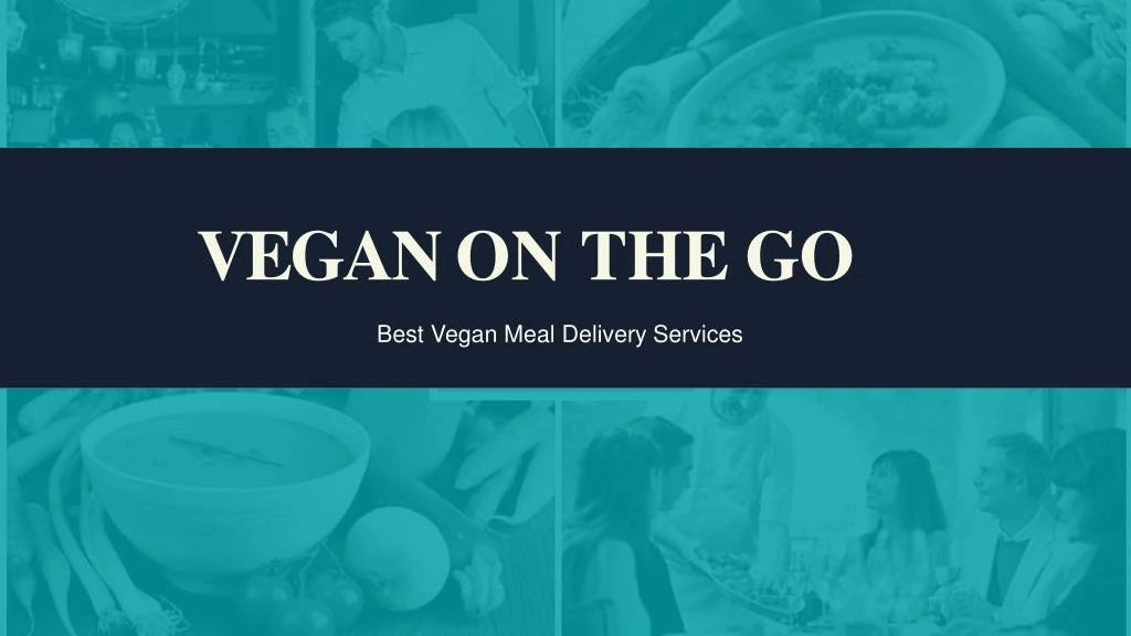 vegan on the go n.