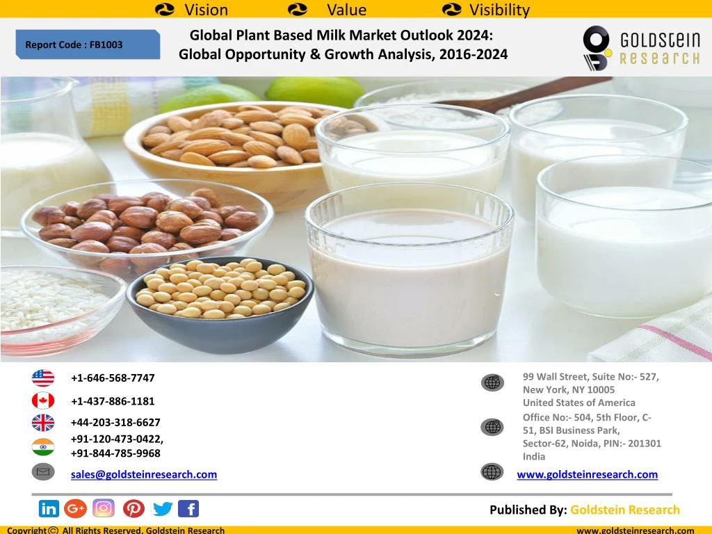 global plant based milk market outlook 2024 n.