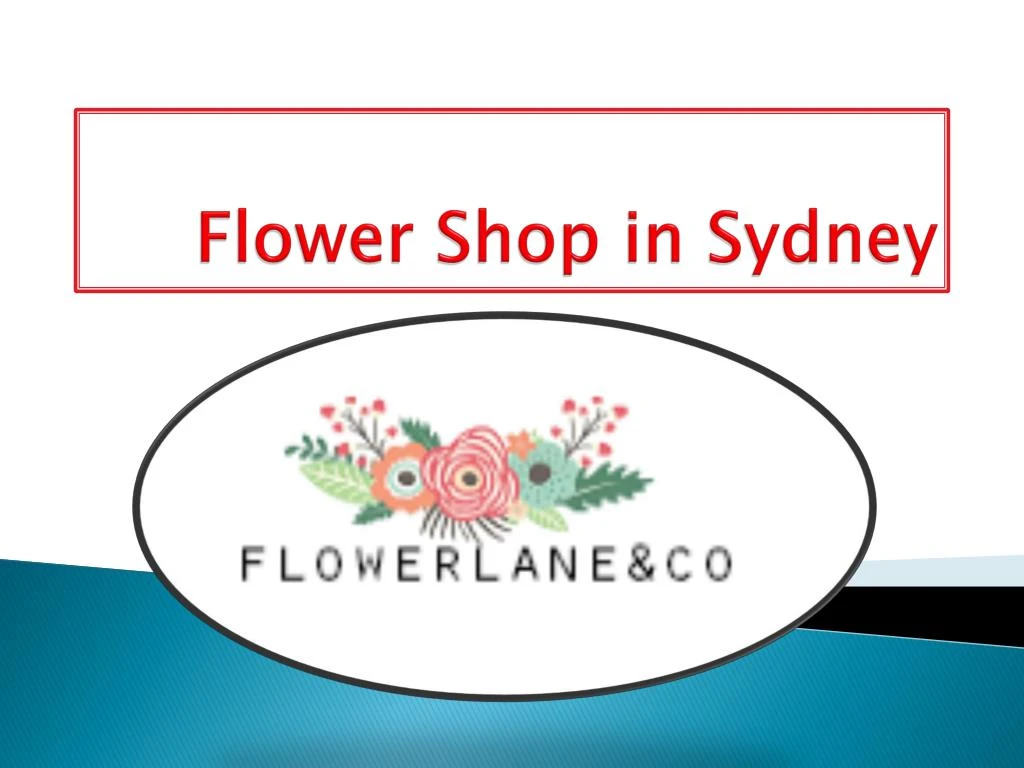 flower shop in sydney n.