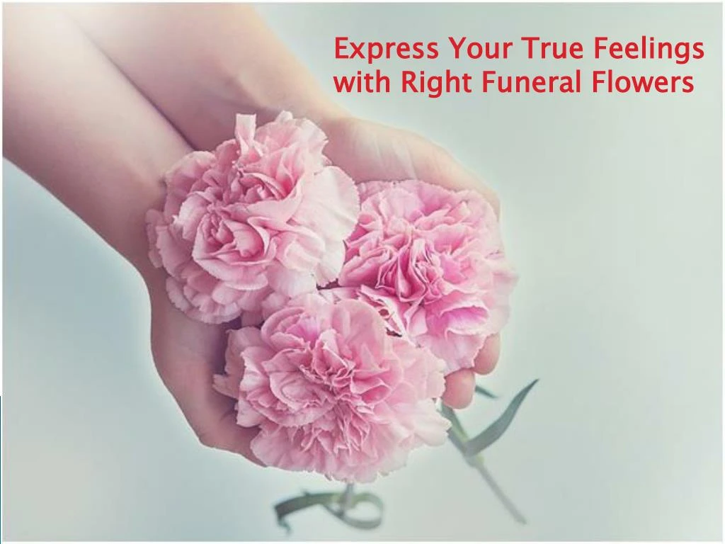 express your true feelings with right funeral n.