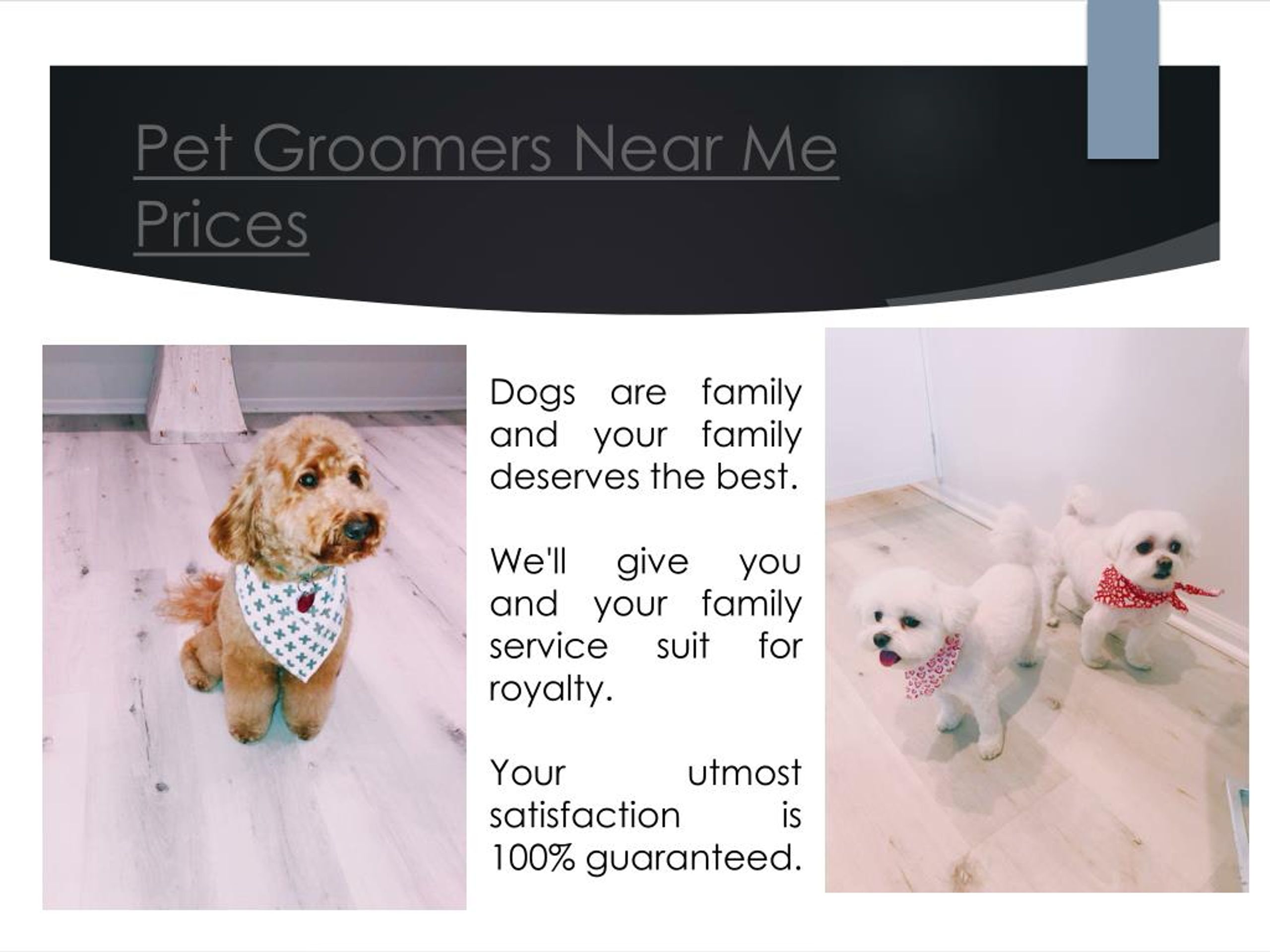 groomers near me prices